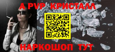 СК Гатчина