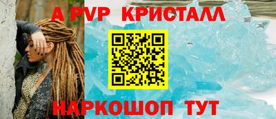 СК Гатчина