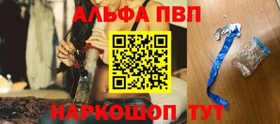 СК Гатчина