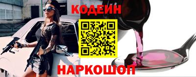 СК Гатчина