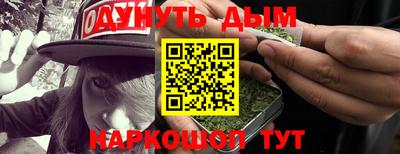 СК Гатчина