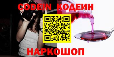 СК Гатчина