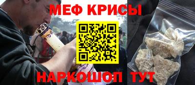 СК Гатчина