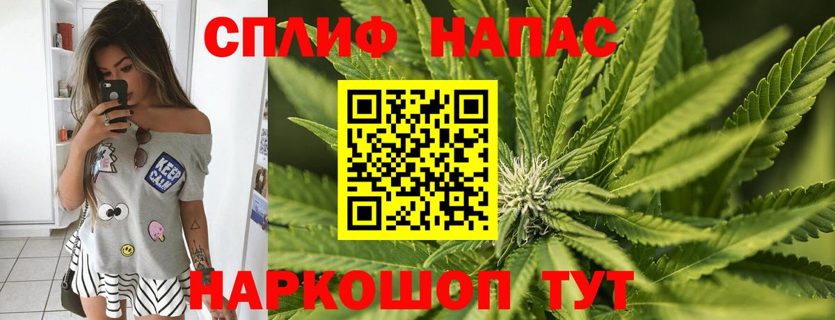 Марихуана планчик  Вход с VPN  Нефтекамск  Каннабис семена  Канабис индика 
